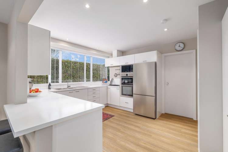 20 Leinster Road Merivale_3