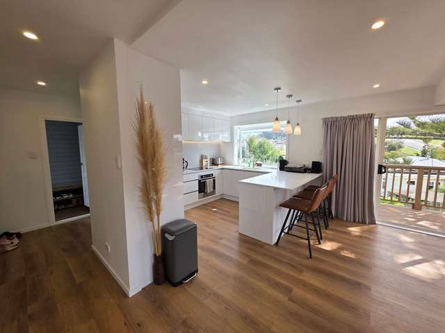 2A Holiday Road Stanmore Bay_1
