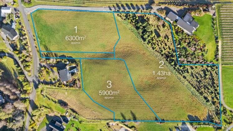 71 Bronte Road East Tasman_13