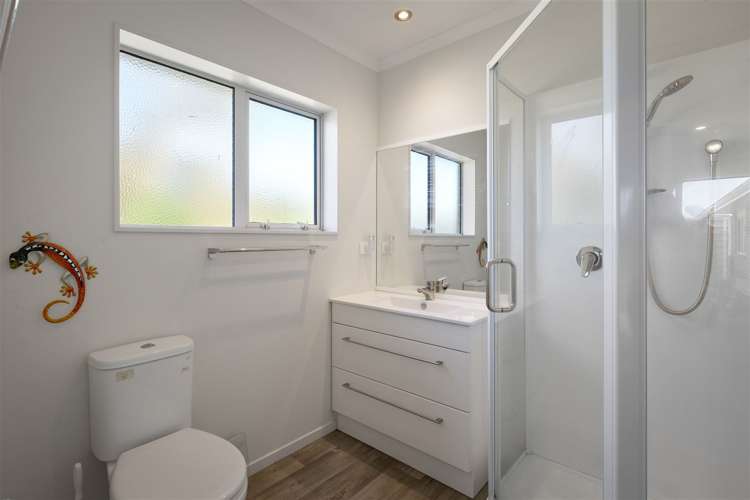 10a Kauri Grove Paeroa_8