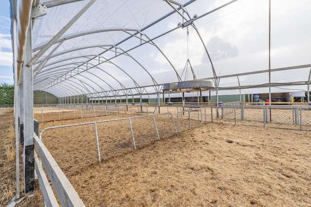 391 Sharlands Road Dunsandel_4