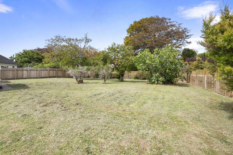 33 Daniell Street Bulls_30