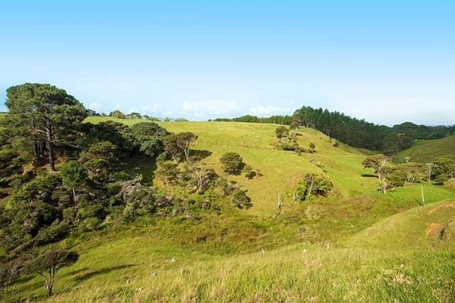 Awhitu Road Waiuku_1