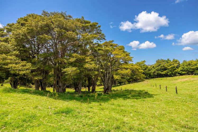 47 Witheford Road Wellsford_8