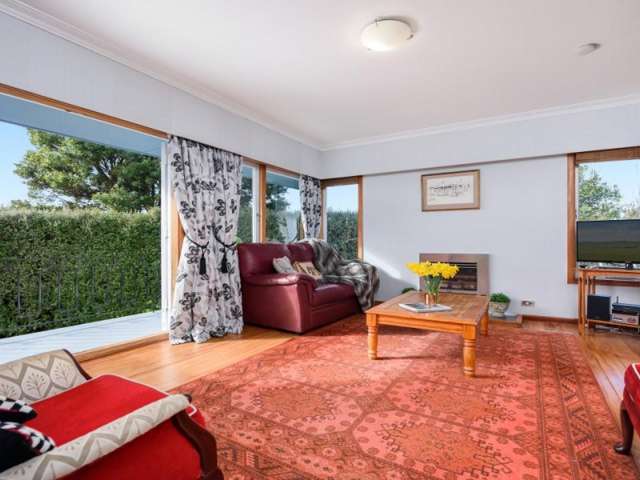 48 Paine Street Judea_4