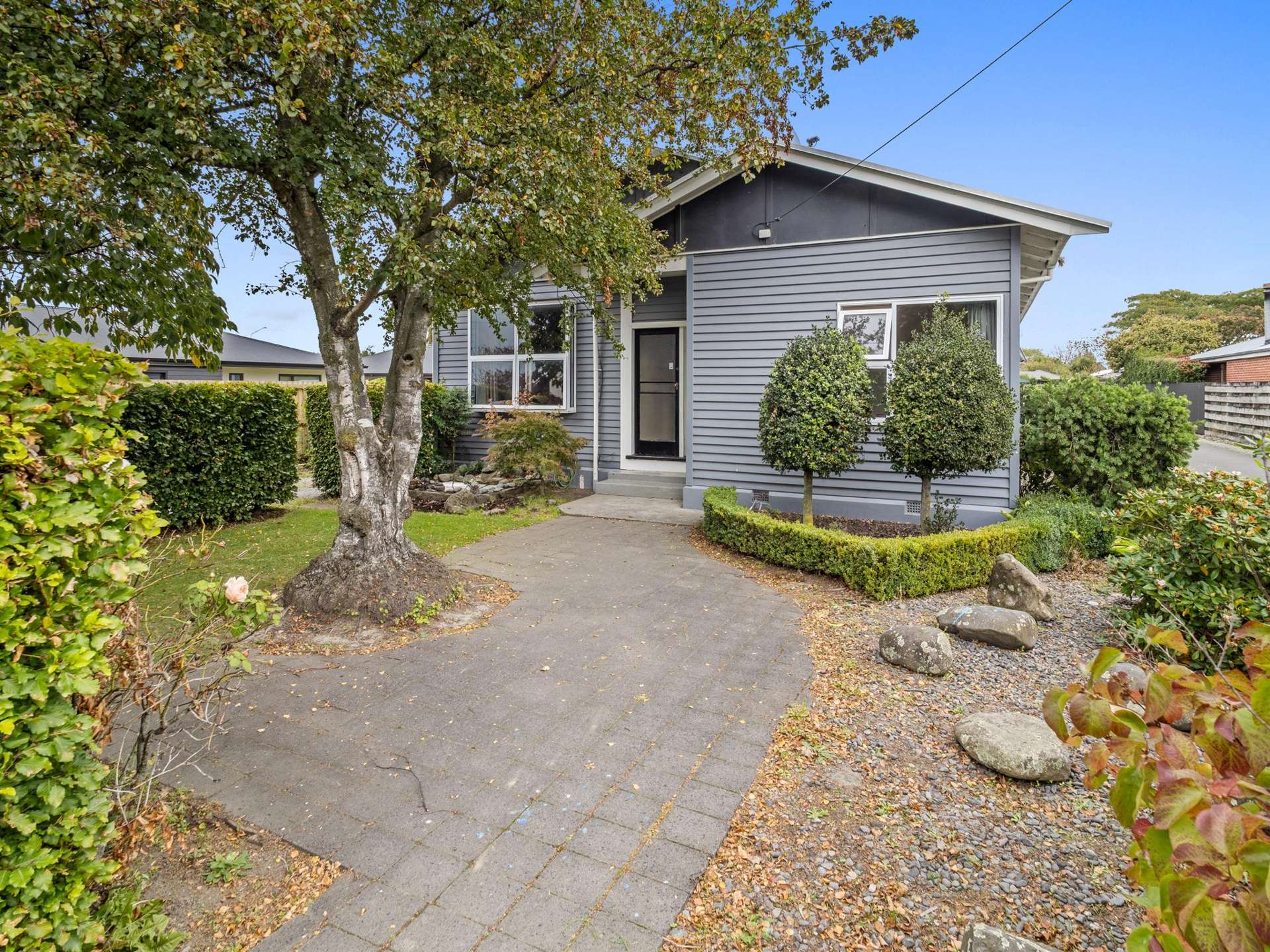 62 Princes Street Netherby_0