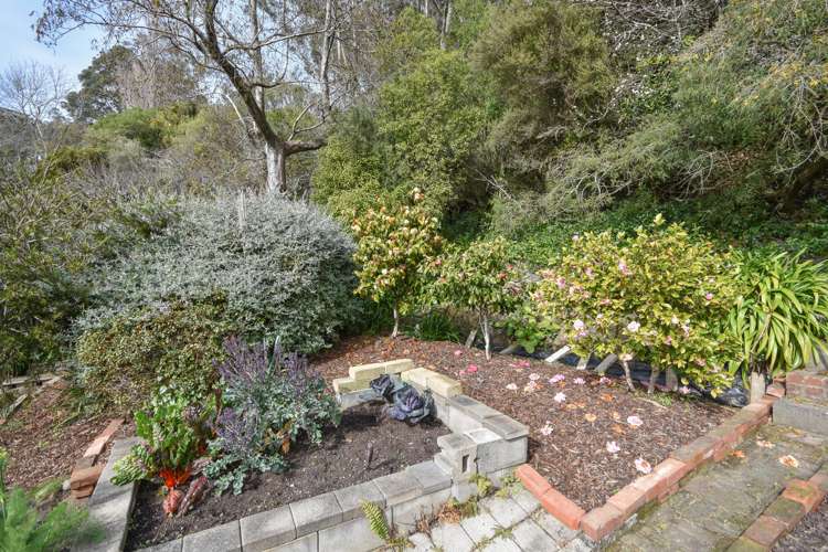 8 Irvine Road The Cove_29