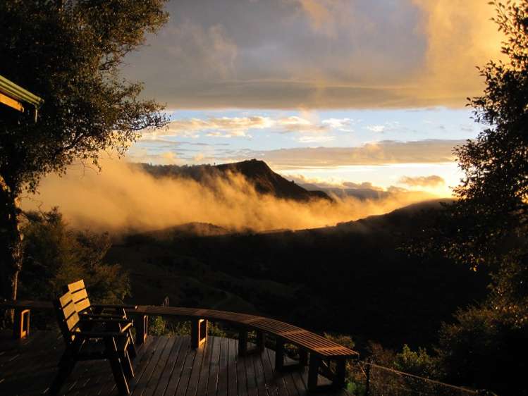 345 Bird Road Kahurangi National Park_12