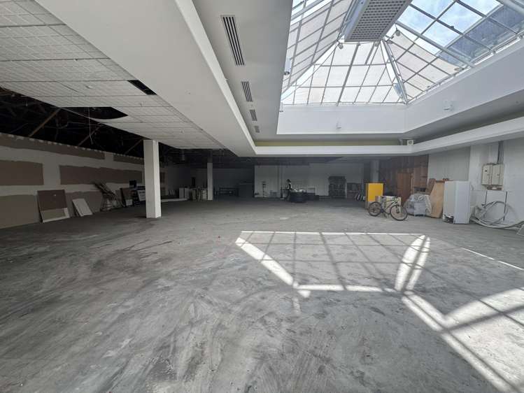 57 Dickens Street Napier South_6