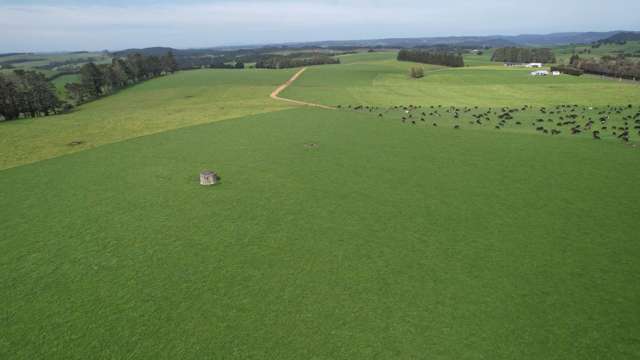 196ha Bay of Islands Dairy Farm - Going Concern