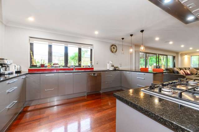 55a Boyce Avenue Mount Roskill_3