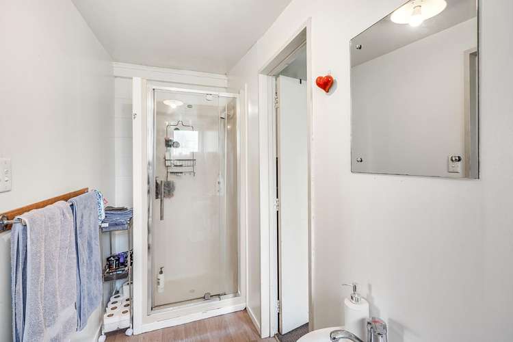 20 Hogan Street Hamilton East_10