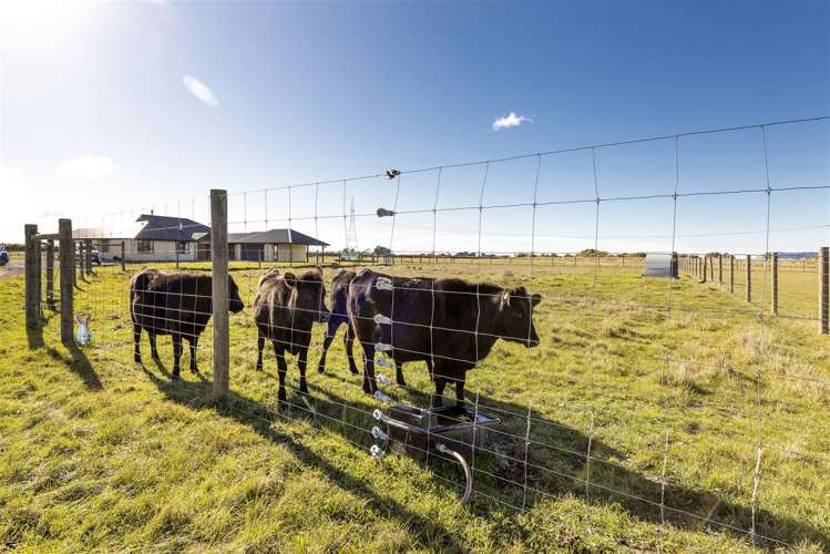 378 Jones Road Grovetown_46