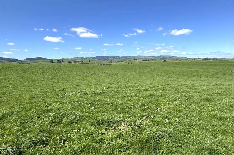 204 Mangatutu Road RD2 Maihiihi_16