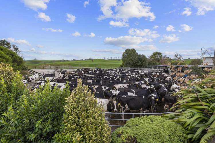 2085a-B Old Taupo Road Putaruru_18