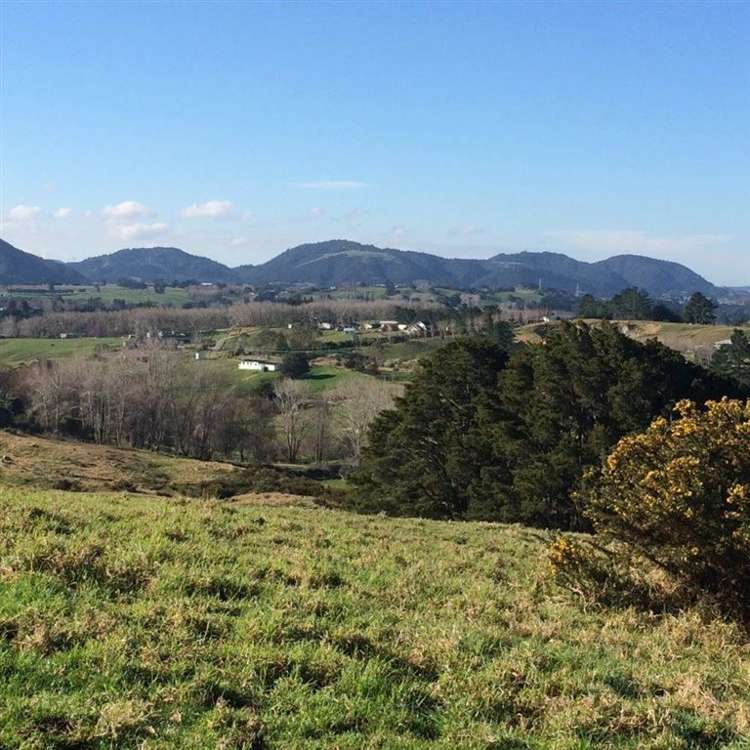 62 Kiwi Lane Kaiwaka_9