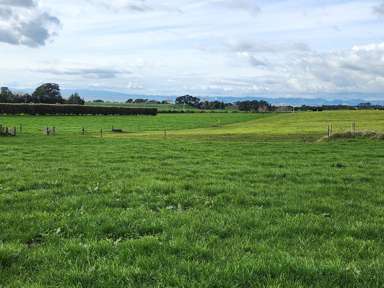 1028 Main North Road_4