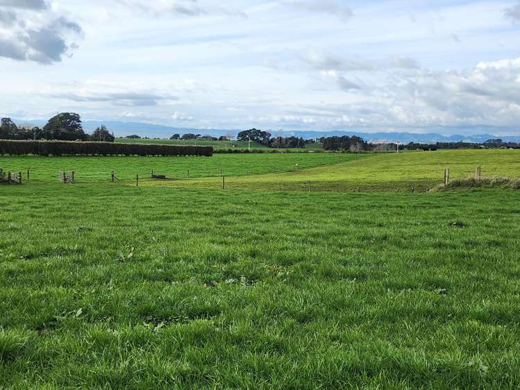 1028 Main North Road Onaero_4