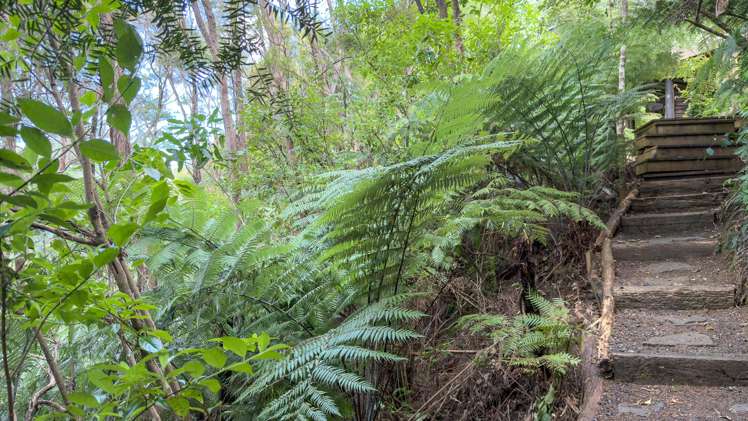 37 Otuturu Crescent Ruamahunga_35