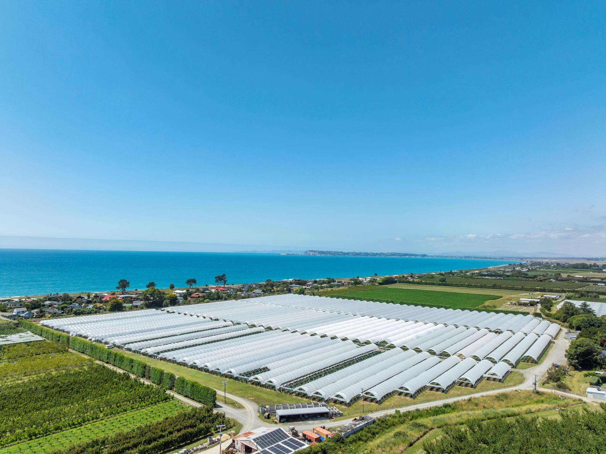 Exceptional Hawke’s Bay horticultural investment
