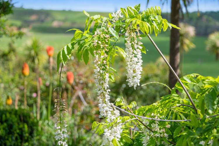370 Fordyce Road Helensville_43