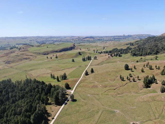 Kahuwera Road Piopio_1