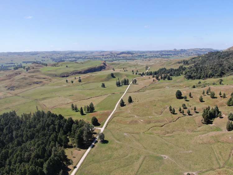 Kahuwera Road Piopio_1