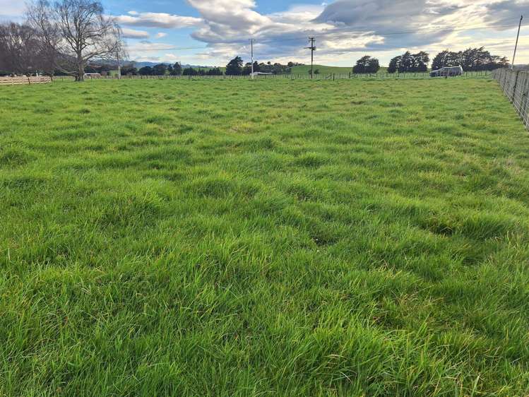 Lot Lot 1/49 Laws Road Dannevirke_10