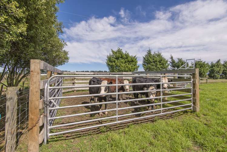 665 Wolffs Road West Eyreton_21