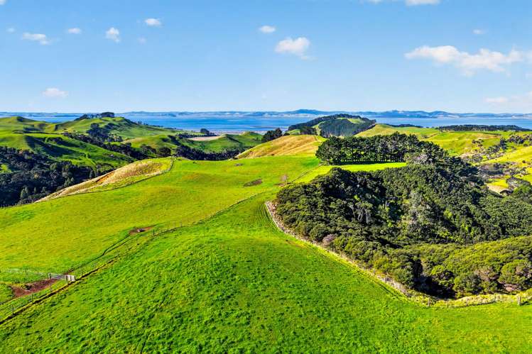 Lot 2/DP 320978 South Head Road Helensville_7