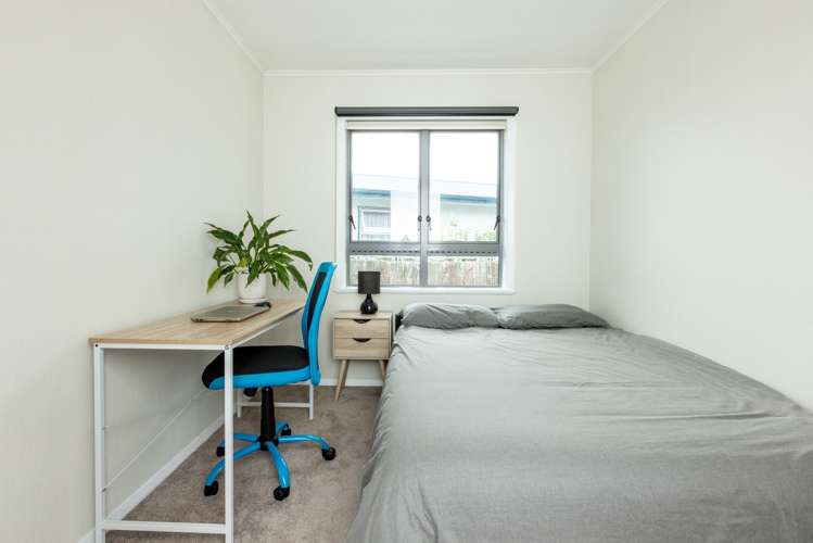 9 Bristol Street Tamatea_17