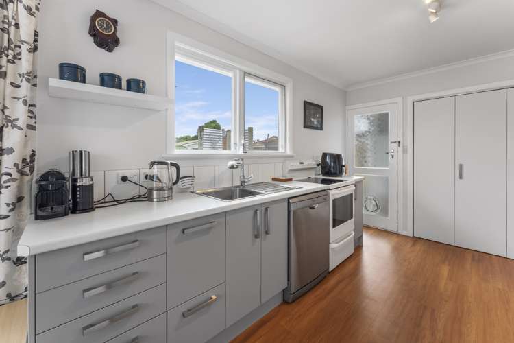 29 Burn Street Levin_9