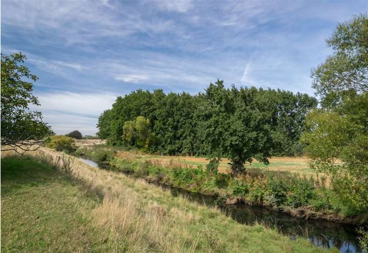 1890 State Highway 1 Tuamarina_15