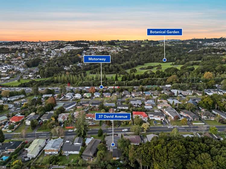 37 David Avenue Hillpark_38