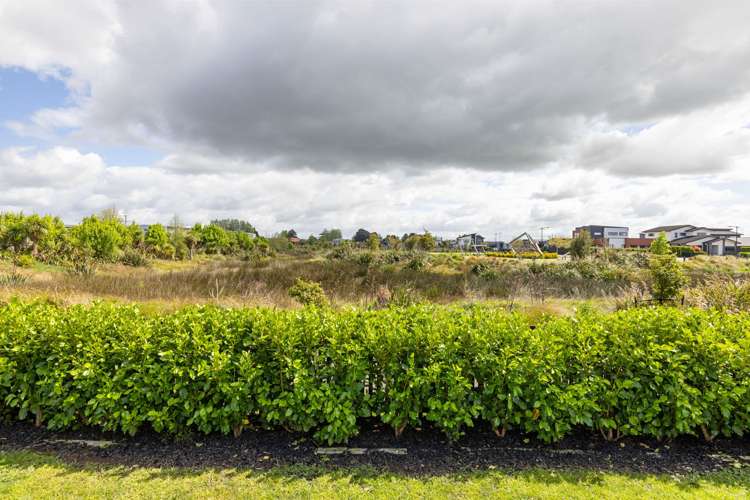 55 Probert Crescent Chartwell_20