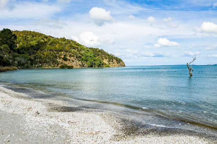 1188e Tinopai Road Tinopai_7