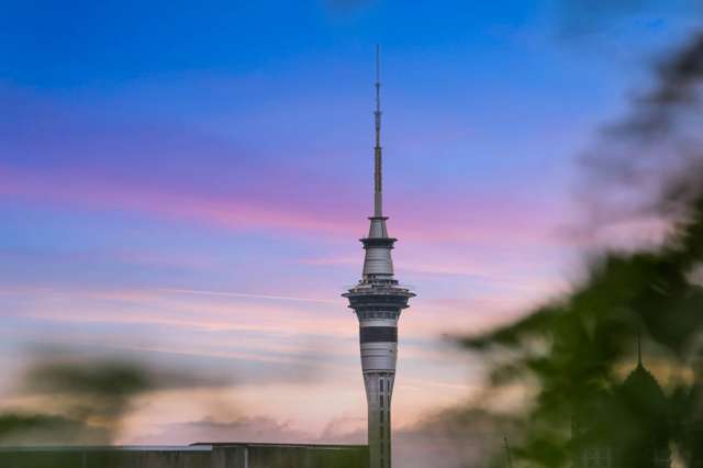 16 Cleveland Road Parnell_4
