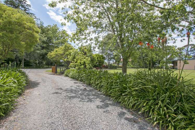 13 Potu Road Hauraki Surrounds_18