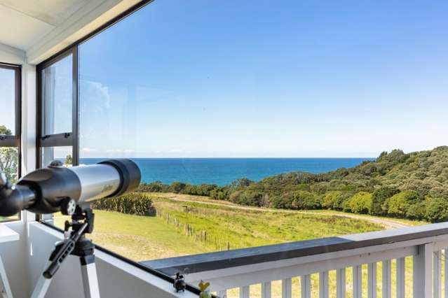 445 Onemana Drive Onemana_3