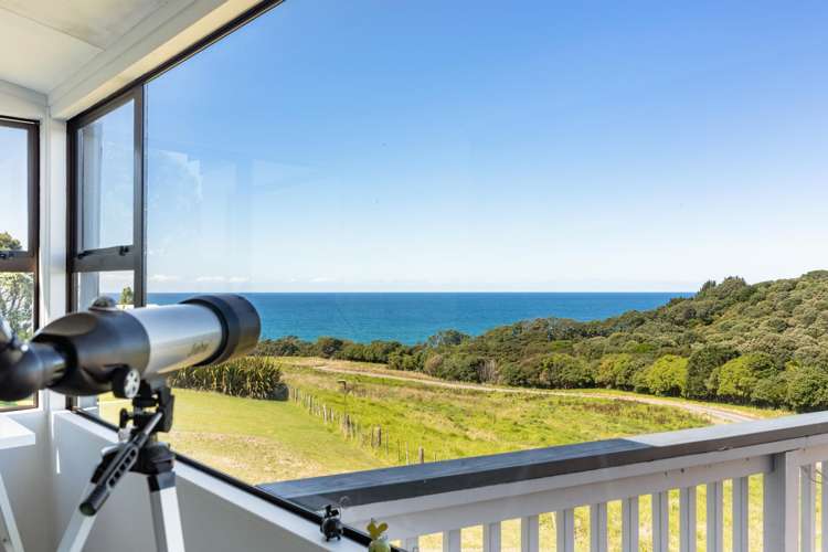 445 Onemana Drive Onemana_3