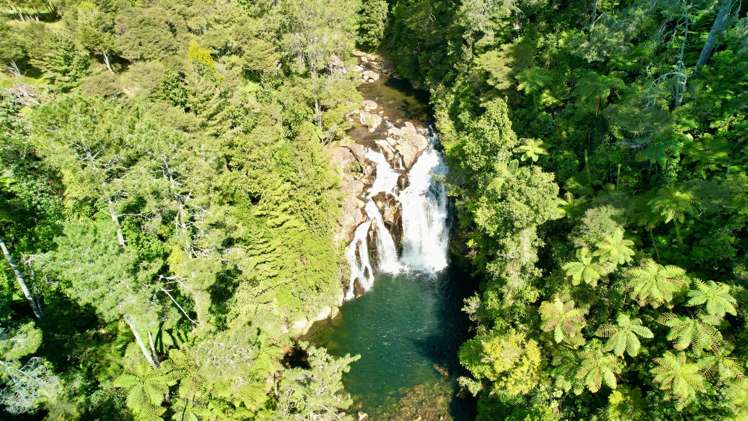 717 Wright Road Aongatete_18