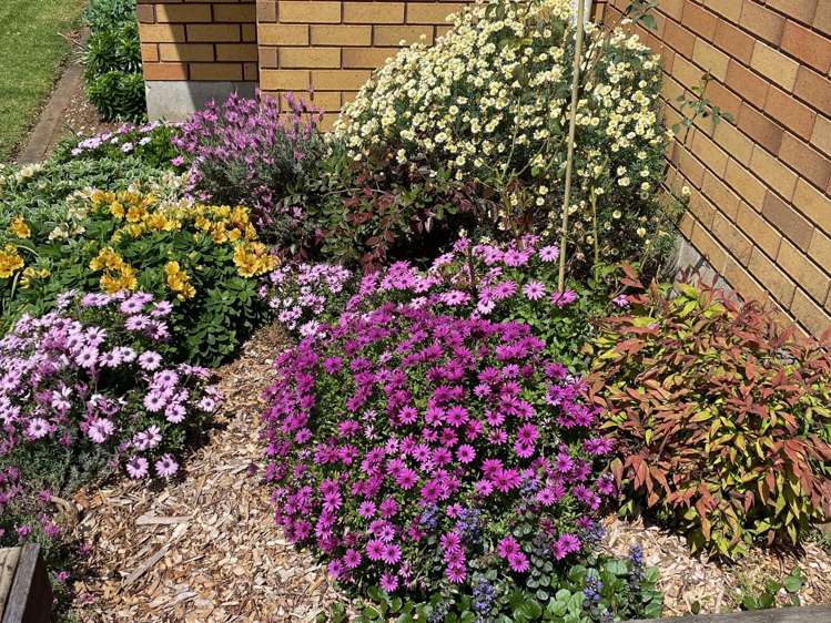 27 Ridgeway Road Pukekohe_20