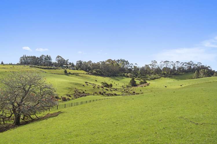 465 Otaha Road Kerikeri_15