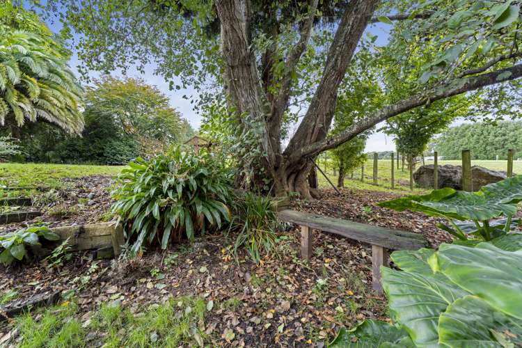 26 Dawson Street Pahiatua_19