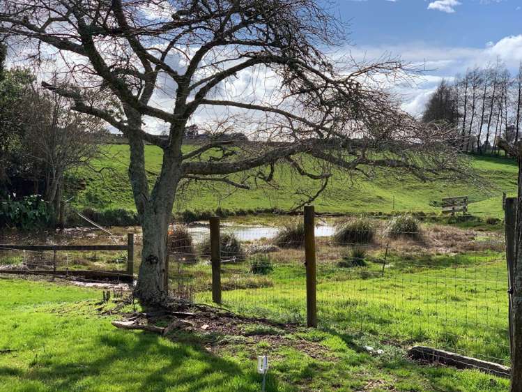 381 Tuakau Road Buckland_12