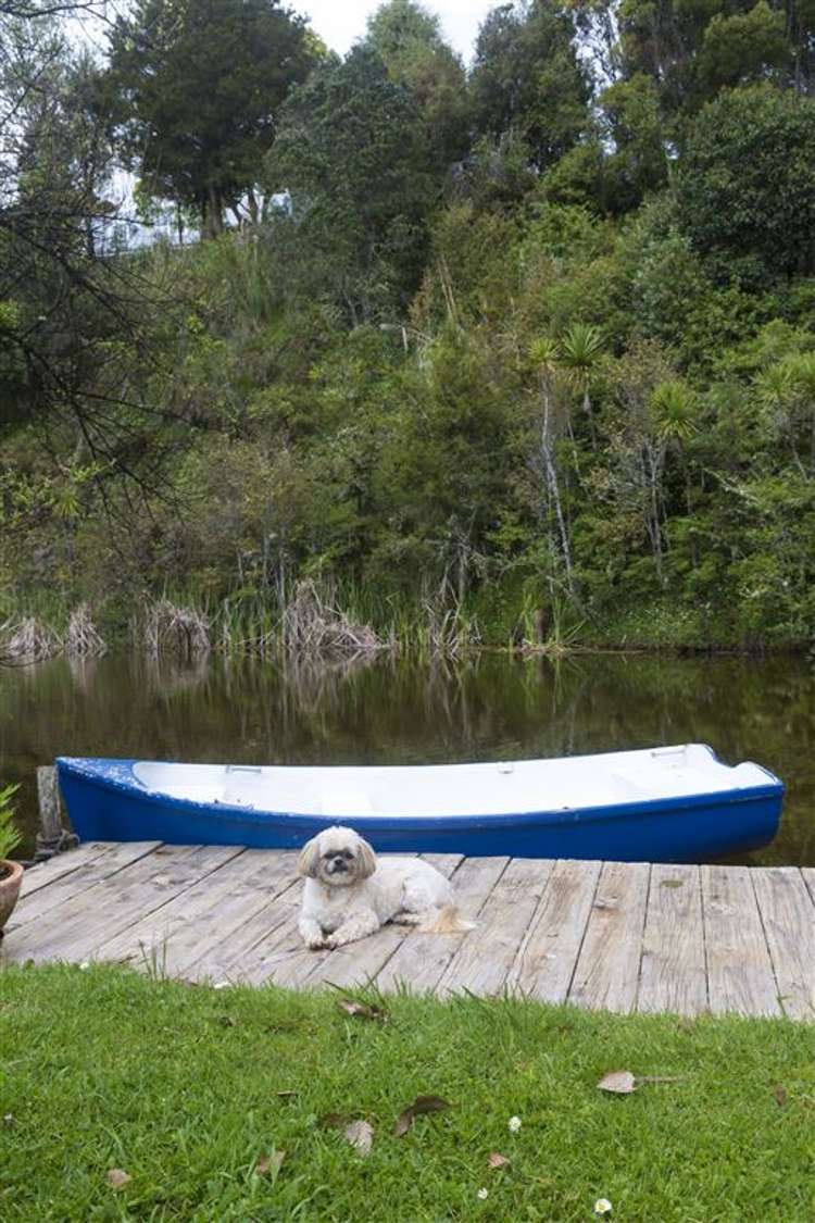 133 Wilson Road Warkworth_6