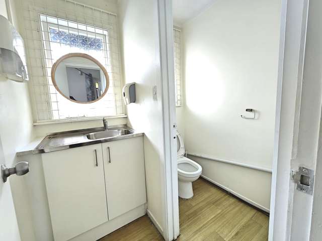 226 Dominion Road Mt Eden_3