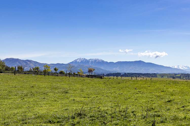 91 Brophy Road Geraldine_8