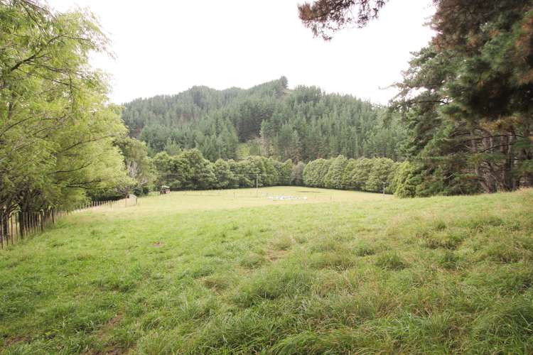 968 Kauarapaoa Road Brunswick_12