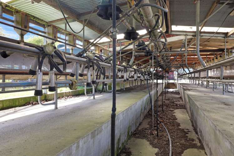 84 Goodwin Road Ohaupo_20